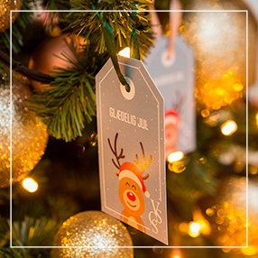 Pluk et ønske fra ønsketræet og glæd et udsat barn med en julegave. 